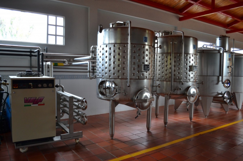 cave-VIDAUBAN-min_wine_production_cantine_winery_drink_alcohol_vine_beverage-902036